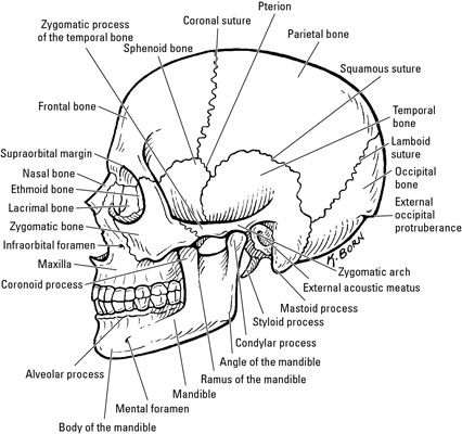 image0.jpg