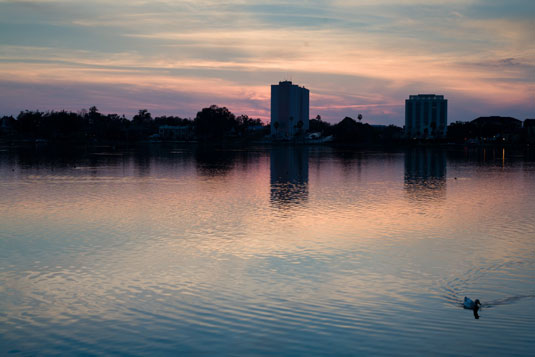 Dusk and a duck provide visual interest for a silhouette skyline.