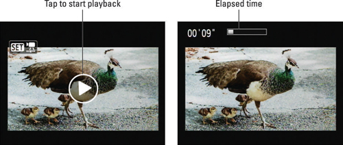 To start movie playback, just tap the big playback arrow.