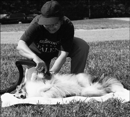 You can use a white sheet and a blow dryer to check your dog for fleas.