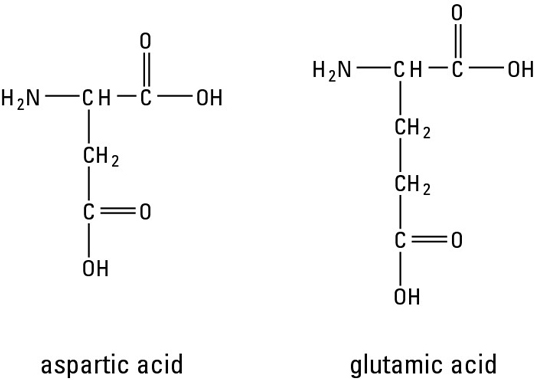 These two amino acids make up the acidic amino acid group and are 