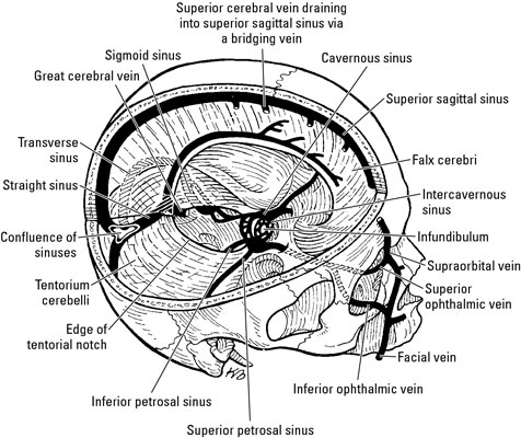 image0.jpg