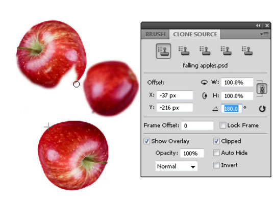 Additional options in the Clone Source panel. In this example the apple rotates 180 degrees while b