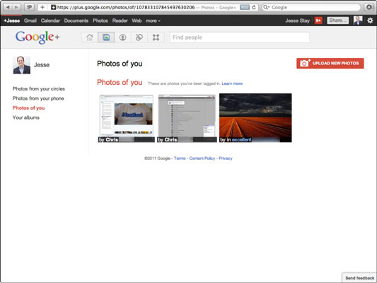 The Photos of You page.