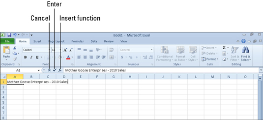 What you type appears in the current cell and on the Formula bar.