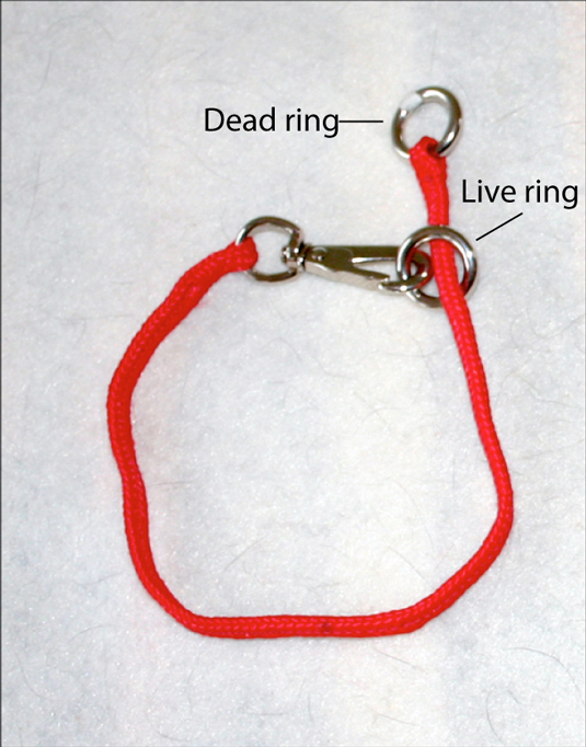The floating ring is the live ring and the stationary ring is the dead ring on a nylon snap-around