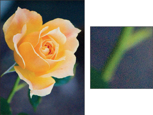 Caused by a very high ISO or long exposure time, noise becomes more visible as you enlarge the imag