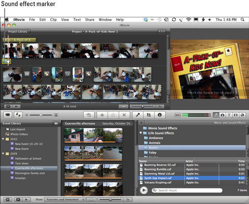 Select the sound effect marker to adjust its position and length.