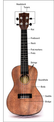 A typical ukulele.