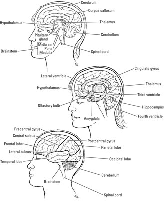 image0.jpg