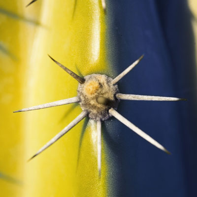 image0.jpg