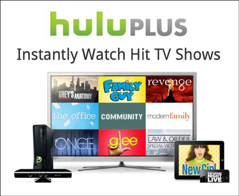 Hulu has jumped on the iPad wagon through its paid Hulu Plus service.