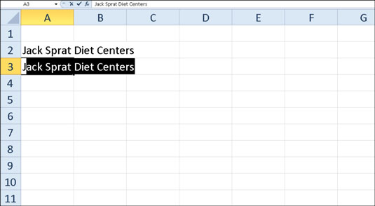 AutoComplete duplicates a previous entry if you start a new entry in the same column that begins wi