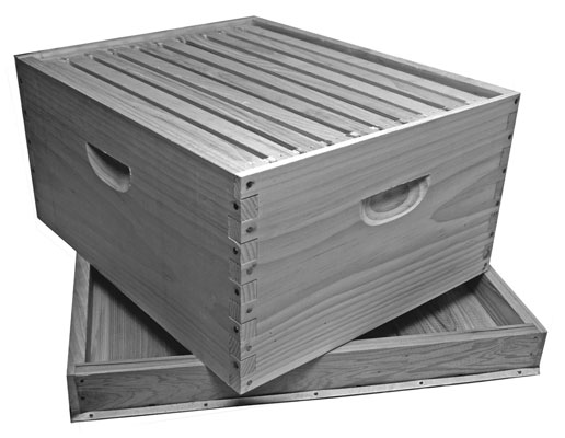 image0.jpg