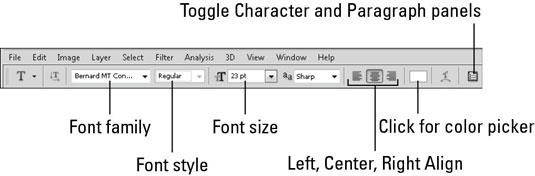 The Text tool options.