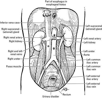 image0.jpg