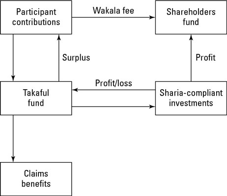 image2.jpg