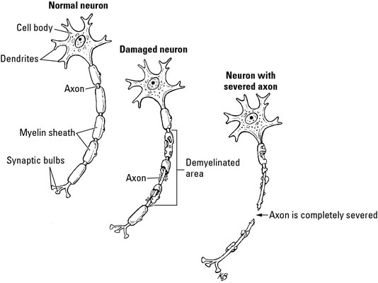 image1.jpg