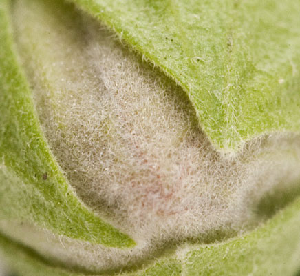 image0.jpg