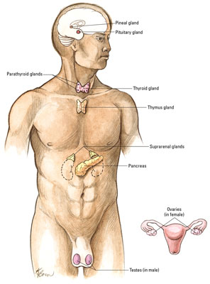 image0.jpg