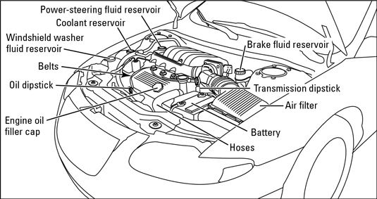 Check the coolant stored in the plastic bottle connected to the radiator.
