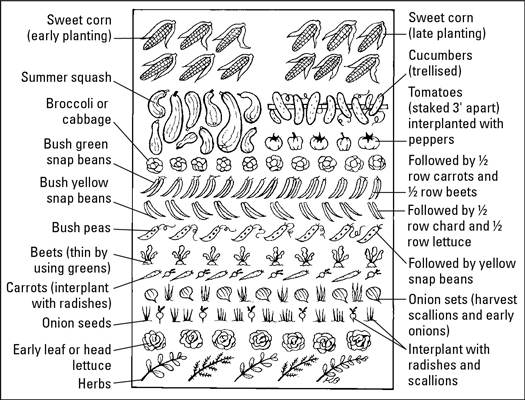 A sample plan of succession