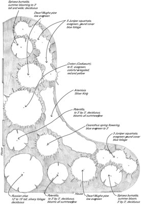 image0.jpg