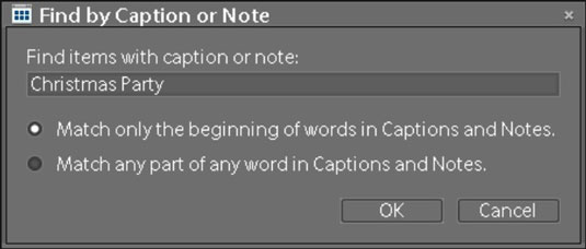Choose Find-->By Caption or Note to open the dialog box in which search criteria for captions an