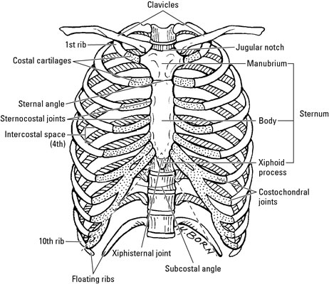 image0.jpg