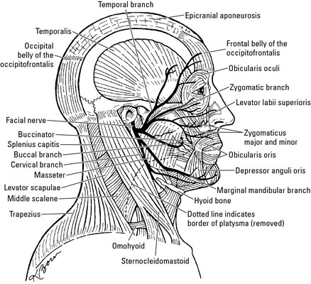 image0.jpg