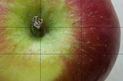 Use the rule of thirds to place your food subject in the frame.
