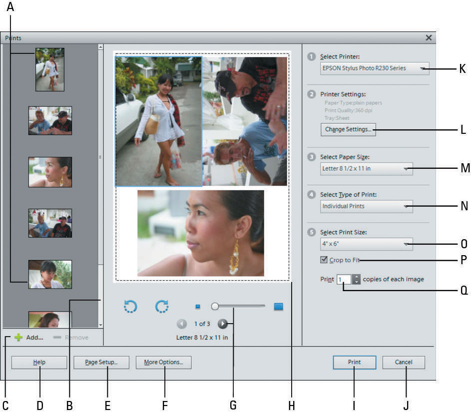 The Print dialog box gives you plenty of options.