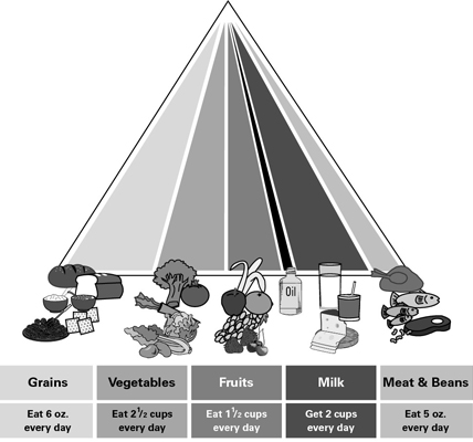 usda food pyramid 2011. The following food pyramid for