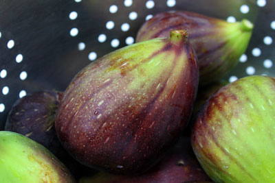 Placing these figs in a metal colander gives this image a down-to-earth, practical look. [Credit: F