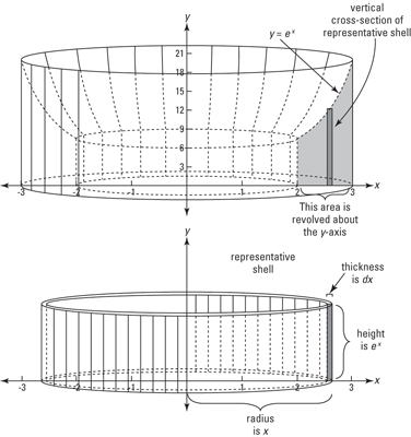 A shape sort of like the Roman coliseum and one of its representative shells.