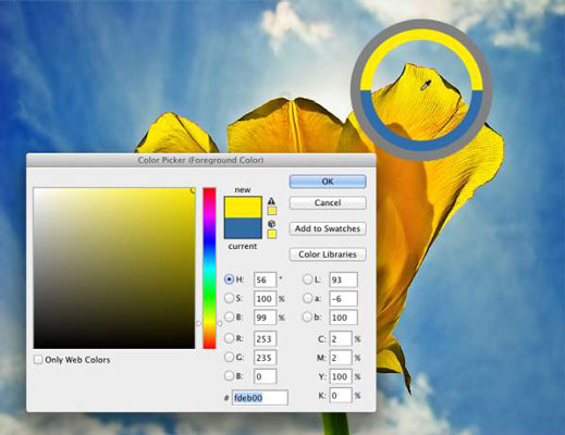 Use the Color Picker to define colors with precision. The Eyedropper’s Sampling Ring is visib