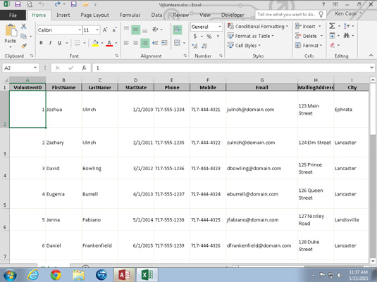 The exported Volunteers table in Excel, ready for anything.
