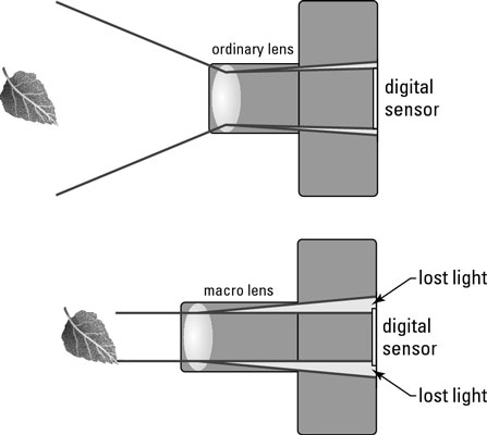 image0.jpg
