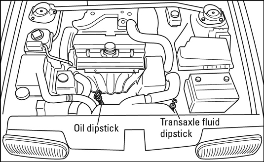 Trans Fluid