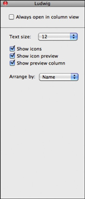 You can customize Snow Leopard’s glamorous column view settings.