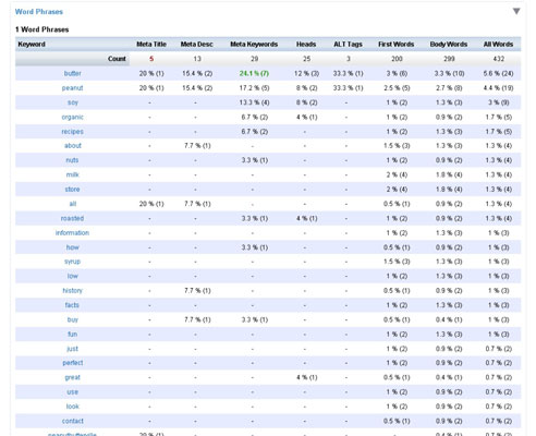 A page analyzer shows statistics for every keyword.