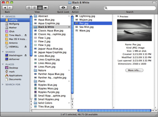 The Preview column provides more information on the selected file.