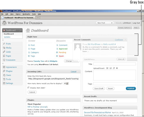 A light gray box appears as a guide when you drag and drop modules in the WordPress Dashboard.