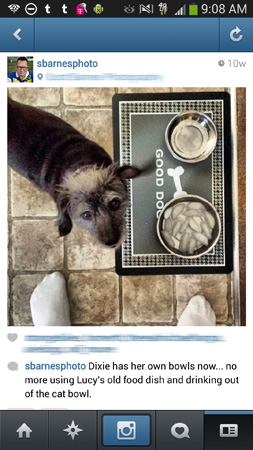 A photo as viewed on Instagram.