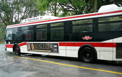 [Credit: TCC Bus Photo credit: