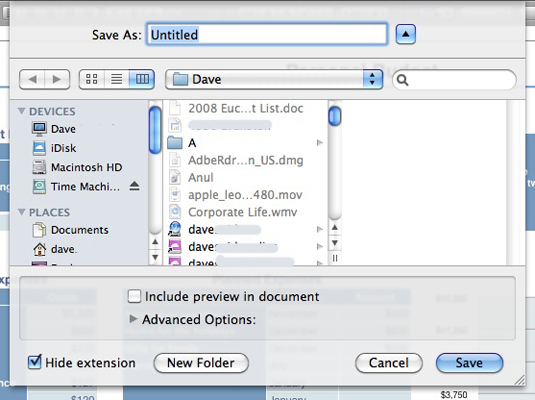 In the Save As sheet you can name your new Snow Leopard spreadsheet.