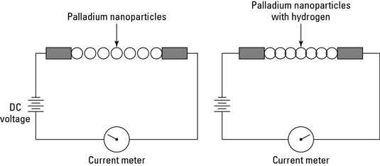 image1.jpg