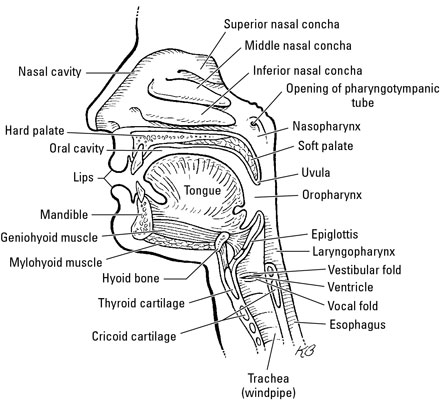 image0.jpg