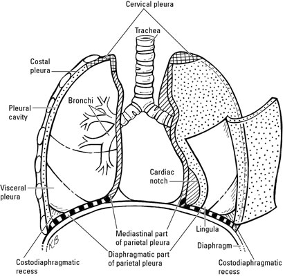 image0.jpg