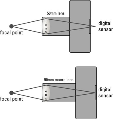 image1.jpg